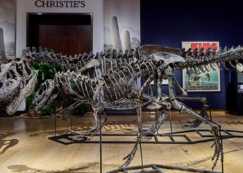 ANTARA rangka dinosaur milik Su Binghai yang dirampas pihak berkuasa Britain. – AGENSI