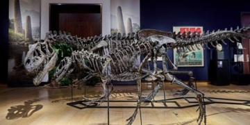 ANTARA rangka dinosaur milik Su Binghai yang dirampas pihak berkuasa Britain. – AGENSI