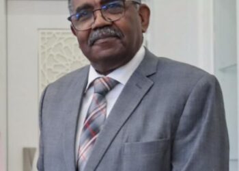 HASSAN ABDELSALAM OMER