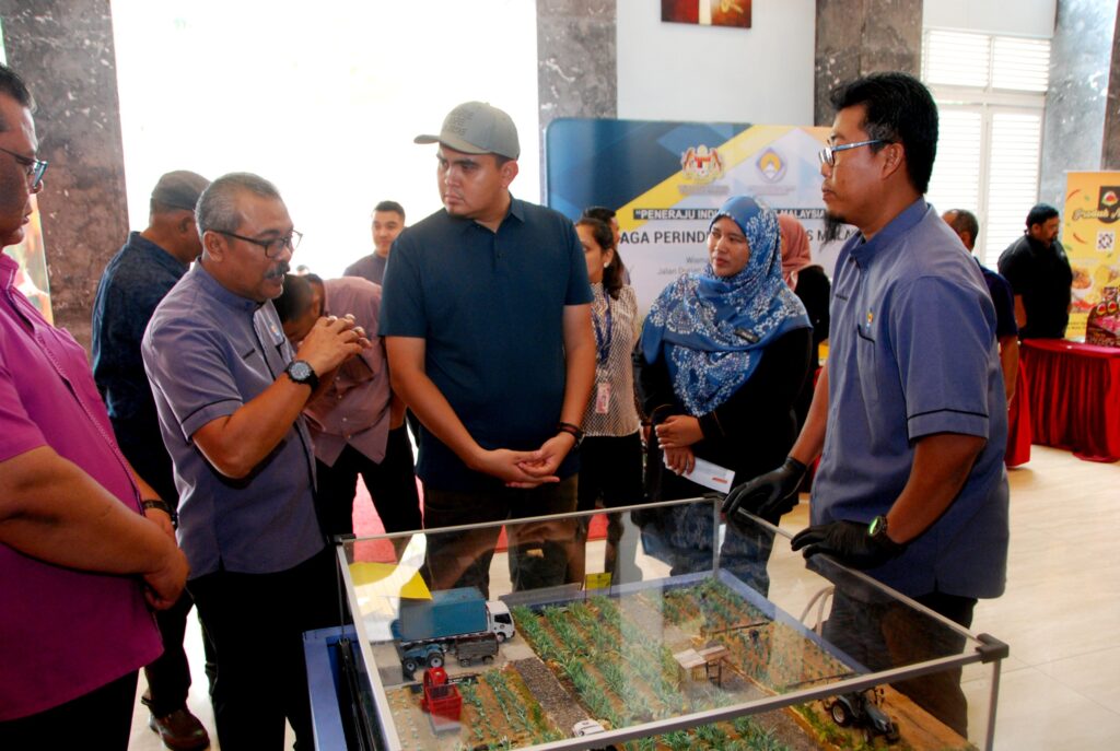 10,000 pekebun tanam nanas waktu malam