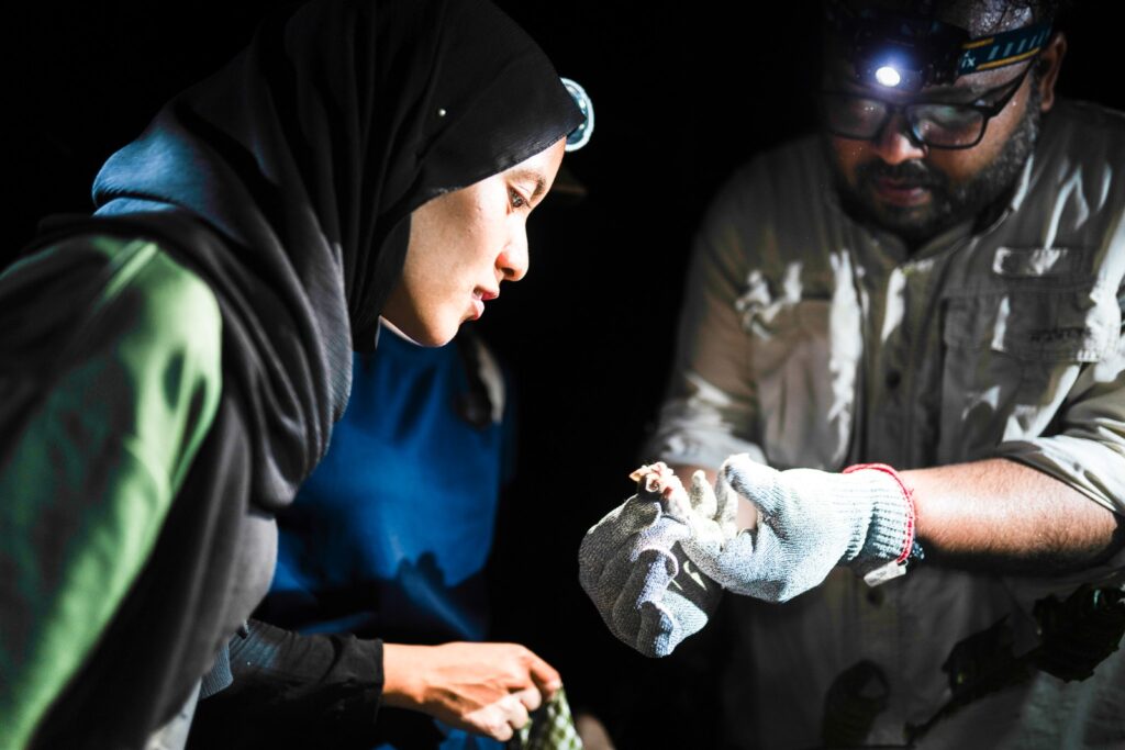 Spesies kelawar jarang ditemui direkod di Borneo selepas 152 tahun