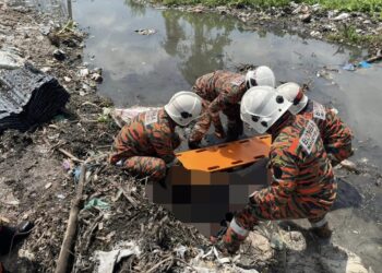 BEBERAPA anggota bomba cuba mengangkat seorang wanita yang dijumpai dalam keadaan lemah selepas tersangkut akibat dibawa arus selepas terjatuh ke dalam sebuah kawasan paya di Jalan Pokok Machang, Tasek Gelugor, Pulau Pinang hari ini.-GAMBAR/JBPM PULAU PINANG