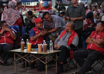 Saifuddin Nasution Ismail