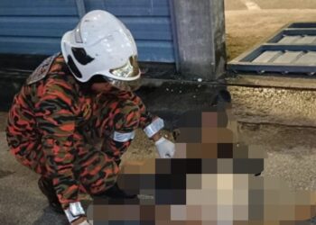 SEORANG anggota bomba memeriksa keadaan lelaki warga Nepal yang maut dipercayai akibat dihempap pintu pagar di Kawasan Perindustrian Valdor, Sungai Jawi, Nibong Tebal, Pulau Pinang hari ini.-GAMBAR/JBPM PULAU PINANG