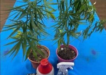 ANTARA barangan yang telah dirampas oleh pihak Jabatan Siasatan Jenayah Narkotik (JSJN) Kuala Lumpur, semalam.