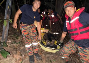 ANGGOTA bomba membawa turun mangsa yang  tergelincir di kawasan air terjun di Taman Eko-Rimba Lata Kinjang, Chenderiang, Tapah semalam. - UTUSAN/IHSAN JBPM PERAK