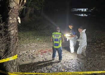 ANGGOTA forensik melakukan siasatan di lokasi pembunuhan seorang pesawah di Kampung Pida 3, Jerlun di Kubang Pasu. - UTUSAN/SHAHIR NOORDIN