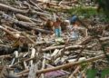 SEORANG penduduk berjalan di celah himpunan kayu balak yang dihanyutkan banjir besar di Tapanuli, Sumatera Utara, Indonesia. –AFP