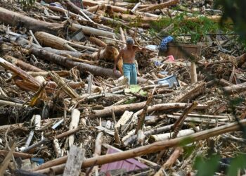 SEORANG penduduk berjalan di celah himpunan kayu balak yang dihanyutkan banjir besar di Tapanuli, Sumatera Utara, Indonesia. –AFP