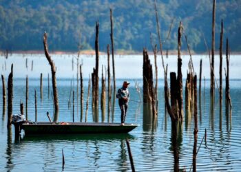 PEMANCING dari seluruh dunia ke Tasik Kenyir di Hulu Terengganu untuk memburu ikan toman, sebarau, kelah dan belida yang menjadi salah satu tarikantasik buatan manusia terbesar di Asia Tenggara itu. - UTUSAN/PUQTRA HAIRRY.