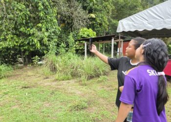 PENDUDUK Orang Asli ke kawasan lapang bagi mendapatkan capaian internet di Kampung Orang Asli Ulu Geruntum di Gopeng, Perak. 
– UTUSAN/AIN SAFRE BIDIN