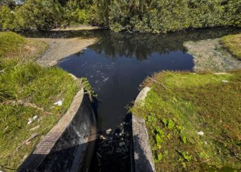 PENCEMARAN Sungai Gong memper­lihatkan jurang besar dalam pelaksanaan undang-undang alam sekitar di Malaysia.