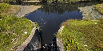 PENCEMARAN Sungai Gong memper­lihatkan jurang besar dalam pelaksanaan undang-undang alam sekitar di Malaysia.