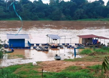 PENGUSAHA ikan sangkar di Pahang kini lebih berwaspada setiap kali musim tengkujuh melanda negara bagi mengelak kerugian sangkar musnah dan hanyut dibawa arus deras.