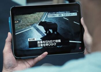 SISTEM pengesanan beruang melalui dron AI dijangka mula digunakan pada 2026.- GAMBAR HIASAN