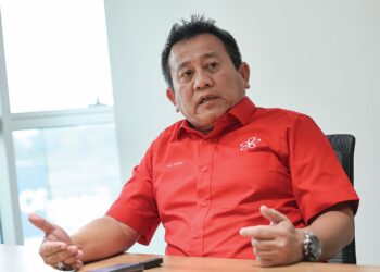 TUN FAISAL ISMAIL AZIZ