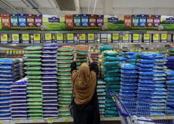 MASALAH SSL beras bukan semata-mata isu pengeluaran, tetapi turut melibatkan tingkah laku pengguna dan struktur pasaran.