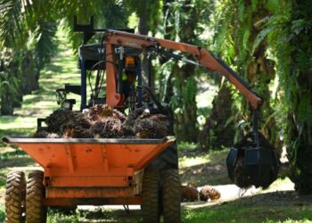 FGV Holdings Bhd. dibenarkan teruskan operasi ladang selama sebulan lagi di Terengganu sehingga 7 Januari 2026.