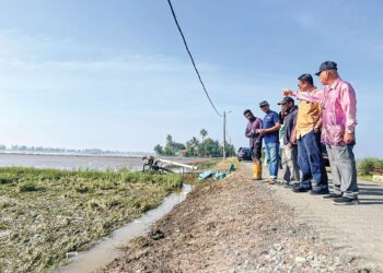 RAZALI Saad (kanan) bersama pesawah dan pegawai MADA meninjau tanaman padi yang terjejas banjir 
di Kampung Seri Gelam, Arau, Perlis, semalam. – UTUSAN/ASYRAF MUHAMMAD