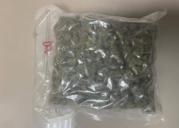 RAMPASAN bunga ganja oleh PGA selepas menahan seorang lelaki di Lubok Stol, Rantau Panjang, Kelantan.