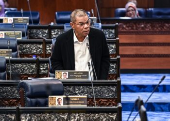 SAIFUDDIN NASUTION ISMAIL