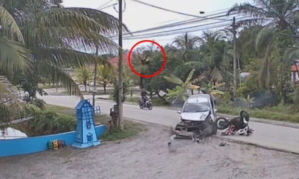 Penunggang melambung