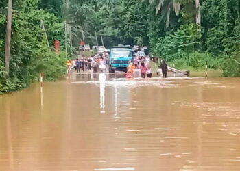 LALUAN ke Taman Negara di Simpang Paya Garuk, Jerantut, Pahang yang ditenggelami banjir baru-baru ini.