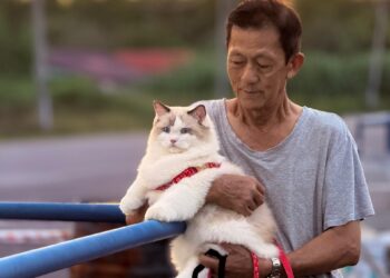 Ong Tai Bih melakukan rutin harian membawa Xavier bersiar-siar.