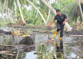 PEKEBUN menarik sampan yang diisi buah kelapa dalam banjir termenung di Sungai Nipah di Bagan Datuk, Perak. – UTUSAN/AIN SAFRE BIDIN
