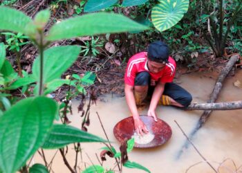 PENDUDUK Kampung Limau Kasturi menunjukan cara mendulang emas di Sungai Galas, Gua Musang, Kelantan.