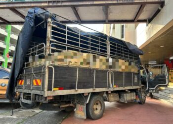 LORI yang digunakan untuk membawa minyak masak peket bagi tujuan penyeludupan di rampas oleh KPDN Kelantan dan PPM Marin Wilayah 3 Pengkalan Kubor di Kampung Bunohan, Tumpat, Kelantan semalam-IHSAN KPDN KELANTAN.