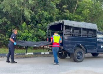 SEORANG lelaki maut selepas motosikal yang ditunggangi bersama isteri melanggar sebuah lori yang sedang menukar haluan di Jalan Ipoh-Lumut, Ipoh hari ini.