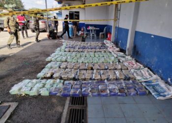 KESEMUA rampasan dadah dengan nilai dianggarkan melebihi RM10 juta yang berjaya ditumpaskan Tentera Darat Malaysia (TDM).