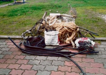 PENGUATKUASAAN undang-undang harus tegas terhadap pencuri dan pihak yang gagal mematuhi prosedur keselamatan.