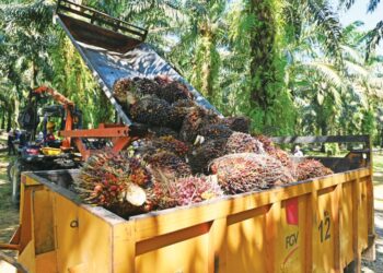 HARGA MSM dijangka kekal dalam julat RM4,500 setiap tan pada 2026.