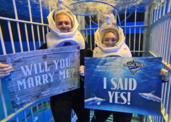 DAVID Balasa (kiri) melamar kekasihnya, Haley Wiewiora dalam tangki ikan jerung di Muzium dan Akuarium Hidupan Liar Kebangsaan Wonders di Springfield, Missouri.-AGENSI