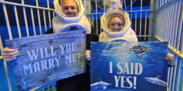 DAVID Balasa (kiri) melamar kekasihnya, Haley Wiewiora dalam tangki ikan jerung di Muzium dan Akuarium Hidupan Liar Kebangsaan Wonders di Springfield, Missouri.-AGENSI