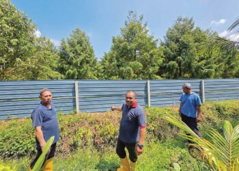 AHMAD Nor Sham Badaruddin (tengah) dan rakannya menunjukkan pokok durian yang terdapat di Kampung Kenangan, Bidor di Tanjung Malim, Perak. – MINGGUAN/AIN SAFRE BIDIN