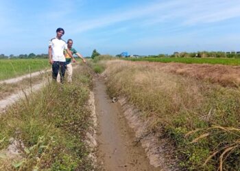 ABDUL Hadi Fadzil dan Muhamad Syafiq Zulkifli menunjukkan tali air yang kering sehingga menjejaskan tanaman padi mereka di Kampung Sungai Lentang, Yan, Kedah semalam. – UTUSAN/OTHMAN YAHAYA