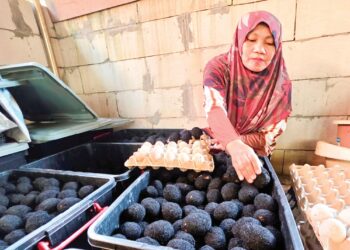 Normurni Jamaludin membersihkan telur itik sebelum diproses menjadi telur masin di Kampung Sungai Suli, Kampung Bahagia, Teluk Intan, Perak.
