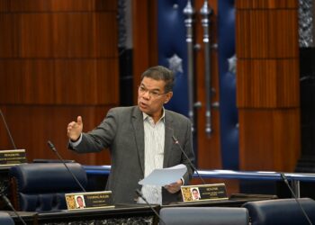 SAIFUDDIN NASUTION ISMAIL