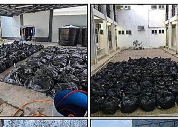 RAMPASAN daun ketum oleh Pasukan Gerakan Am (PGA) dalam serbuan di Machang, Kelantan semalam.