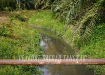 ANAK sungai di Felda Sri Jaya, Bukit Serampang, Johor tercemar ekoran kebocoran kolam kumbahan ladang babi.