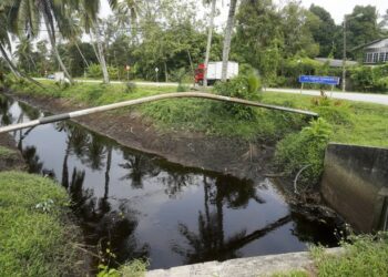 AIR perparitan yang terjejas dipercayai pengusaha ternakan babi membuang sisa kumbahan ke laut ketika tinjauan ladang ternakan babi secara haram di Ladang Tumbuk, Tanjong Sepat, Kuala Langat, Sepang, semalam. - UTUSAN/FAISOL MUSTAFA