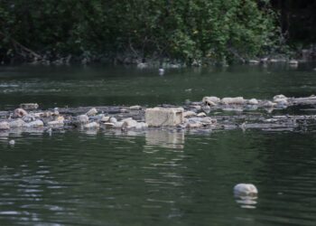 BAGAIMANA kita boleh memperkasa ekonomi biru seperti yang ditekankan dalam Rancangan Malaysia ke-13 sekiranya lautan kita terus dijadikan pusat pelupusan sampah?