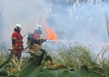 CUACA panas dan kering menyaksikan sebanyak 127 kes kebakaran direkodkan hanya dalam tempoh sebulan di Perlis.