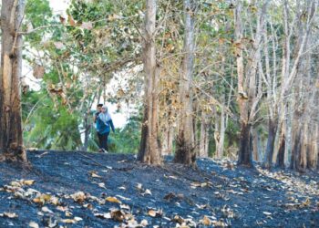 PENDUDUK melalui kawasan hutan di tepi sungai yang terbakar kesan cuaca panas dan kering di Kampung Pondok, Kangar, Perlis semalam. – UTUSAN/IZLIZAN OTHMAN