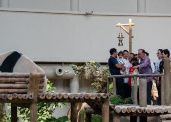 ANWAR Ibrahim meluangkan masa melawat panda selepas Majlis Pembukaan Rasmi Pusat Konservasi Giant Panda (PKGP) Zoo Negara di Kuala Lumpur, semalam. - FACEBOOK PM