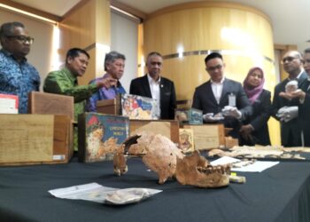 SEBAHAGIAN daripada 41 bahagian rangka koleksi rangka Guar Kepah yang diserahkan secara rasmi kepada kerajaan negeri Pulau Pinang hari ini.-UTUSAN/SAFINA RAMLI