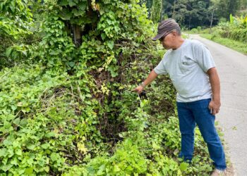 ASHROLDIN Abdul Rashid menunjukkan keadaan sistem perparitan yang dipenuhi semak-samun dipercayai tidak diselenggara sejak lima tahun lalu. - UTUSAN/NOR SHAFIQAH MOHD. GHAZALI